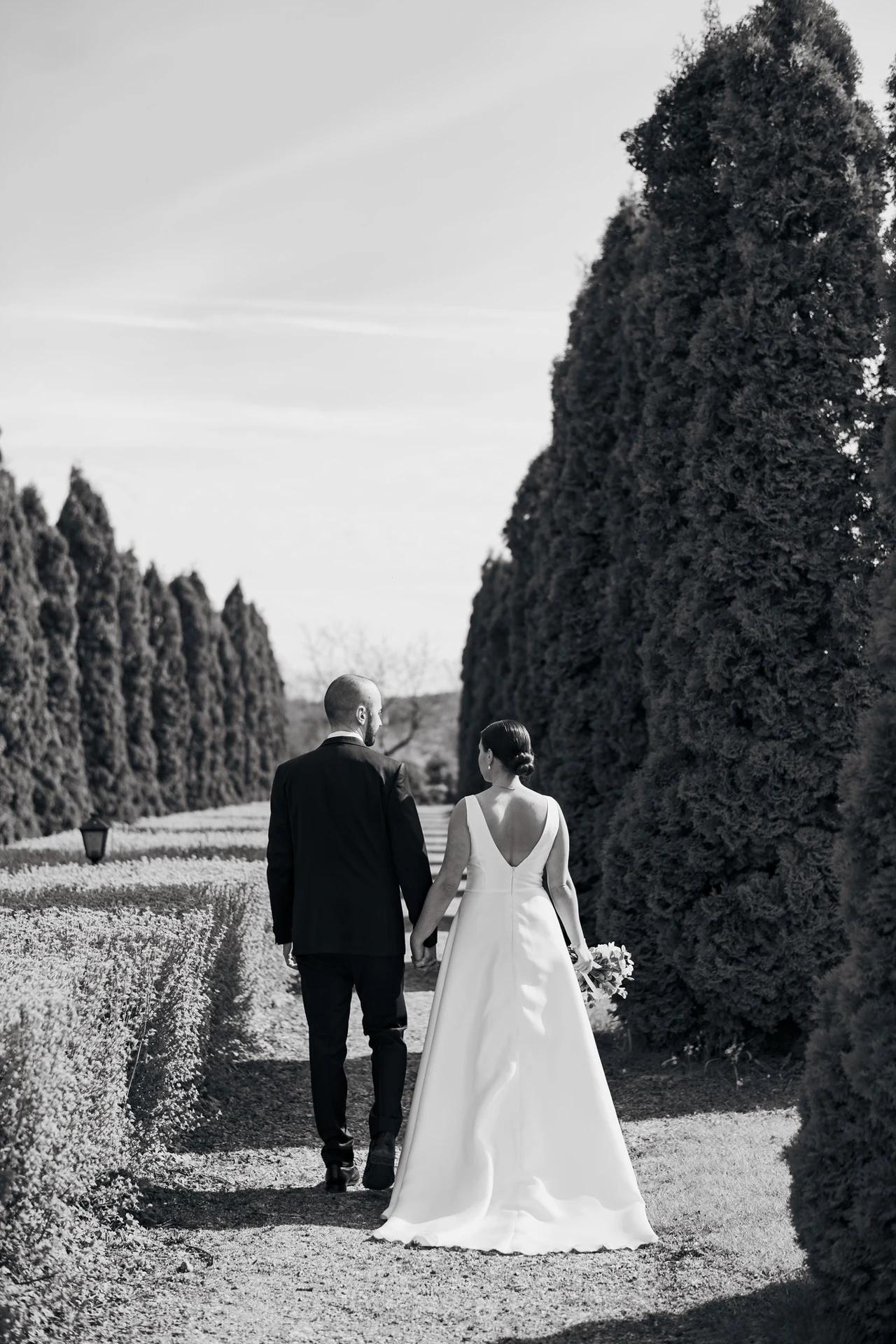 A wedding couple walking between tall trees, photographed in black and white.